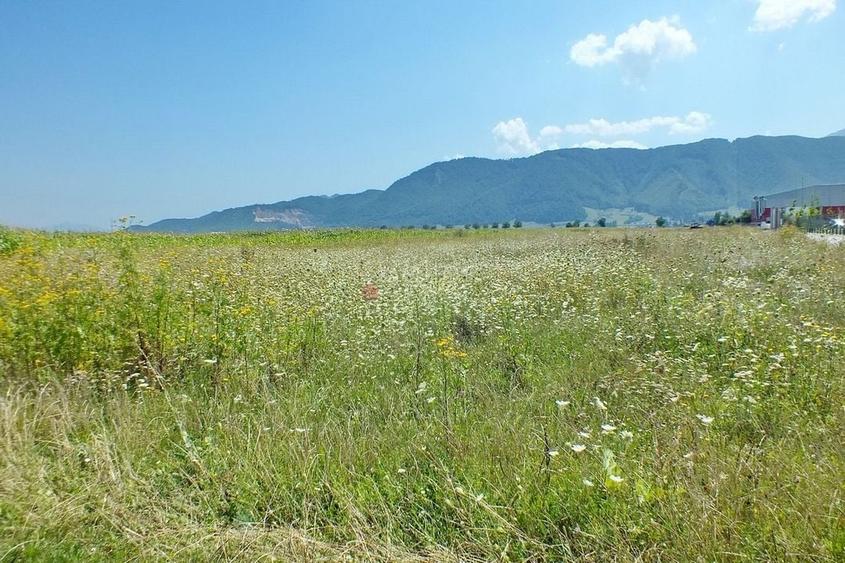 Pretabil Investitie - 1