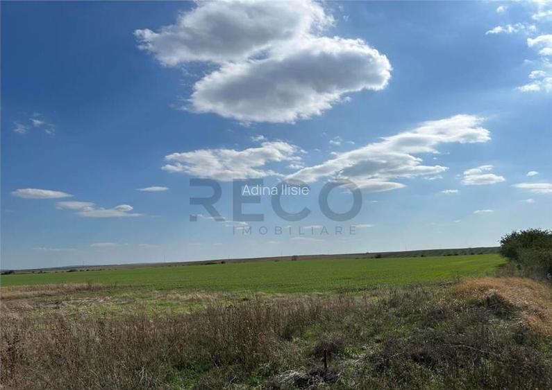 RECO Oportunitate teren 25000mp Santandrei