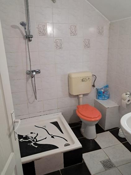 Otopeni - vila spatioasa 6 camere - 14