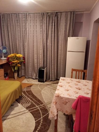 Lacul Tei,Teiul Doamnei vav Parcul Tei - 5