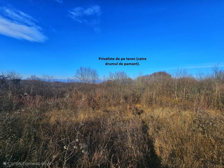 Teren intravilan 2.000 mp – Seciu, 2 deschideri, Priveliște panoramica - 8