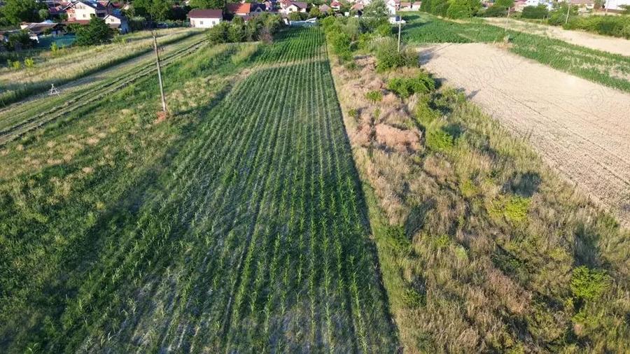 Teren Intravilan Budesti - 1