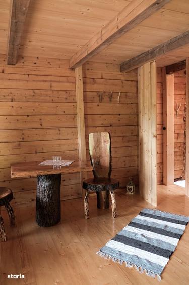 Domeniu 62.000 mp Horea, fara vecini, func?ional, utilaje incluse - 15