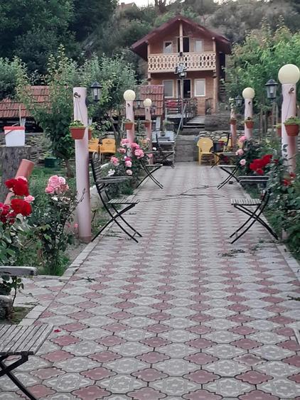 Casa de vanzare:Serel, jud Hunedoara,cu spa?iu comercial ?i iaz de peste. Detalii doar la telefon. - 9