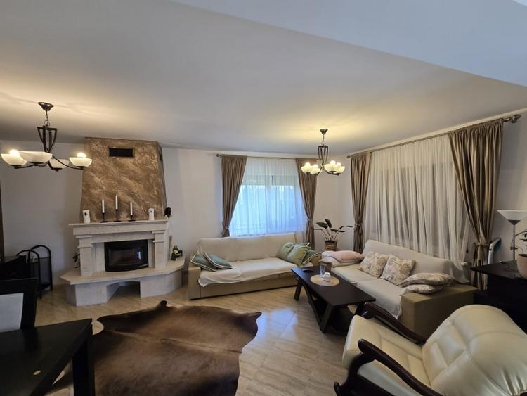 Casa de Vis, Serbanesti - 13