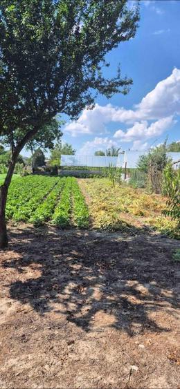 Casa batraneasca - 2