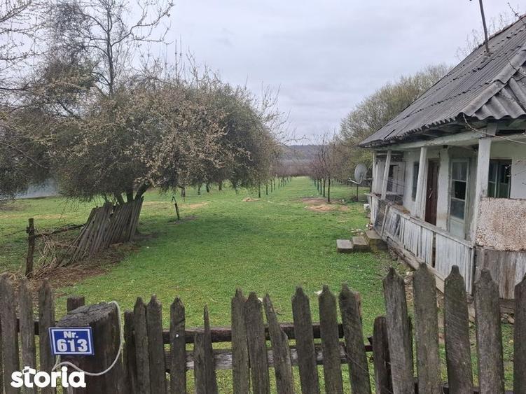 Teren de vanzare Gheboieni DB intravilan+extravilan - 3