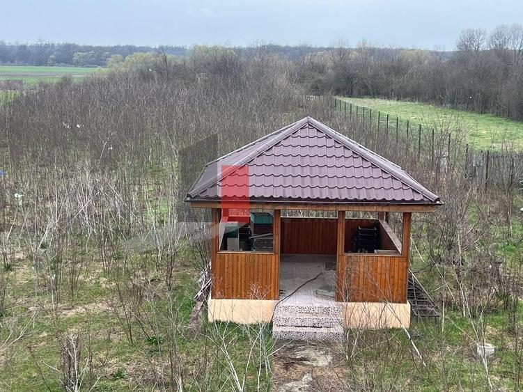 CASA CU TEREN DE 5000MP  - JUDET GIURGIU  30KM DE BUCURESTI - 22