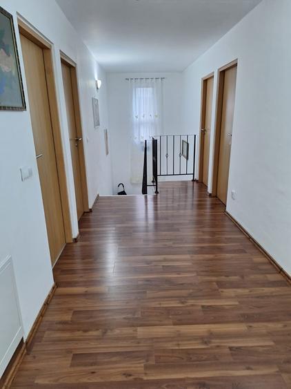 Vila individuala-la bulevard -Berceni IF - 6