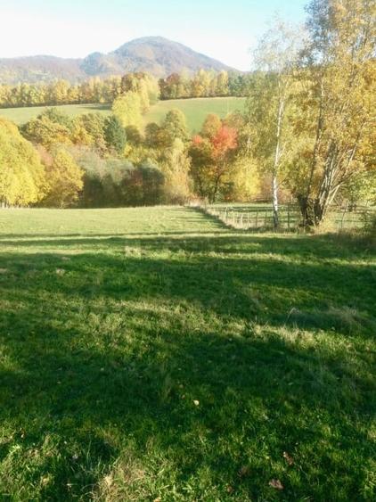 Teren intravilan de vanzare – Bran, Sohodol - 4