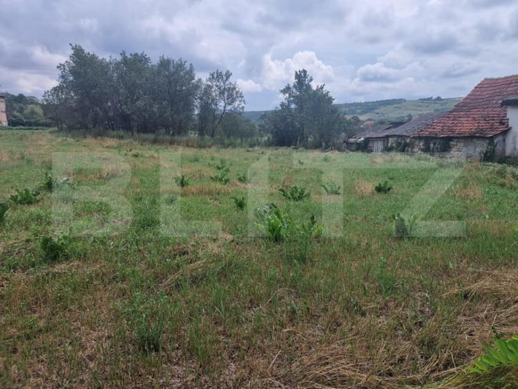 Teren de 900 mp, în Borșa