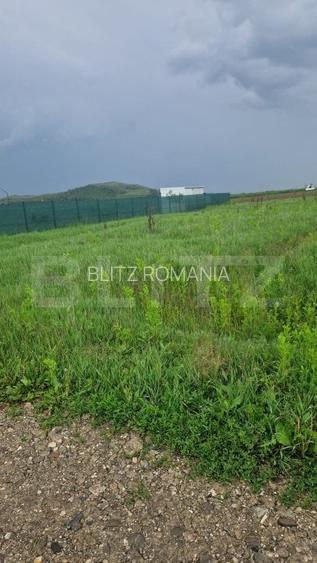 Teren pentru casa intravilan , 800 mp deschidere la drum Bod Teren pentru casa intravilan , 800 mp deschidere la drum Bod