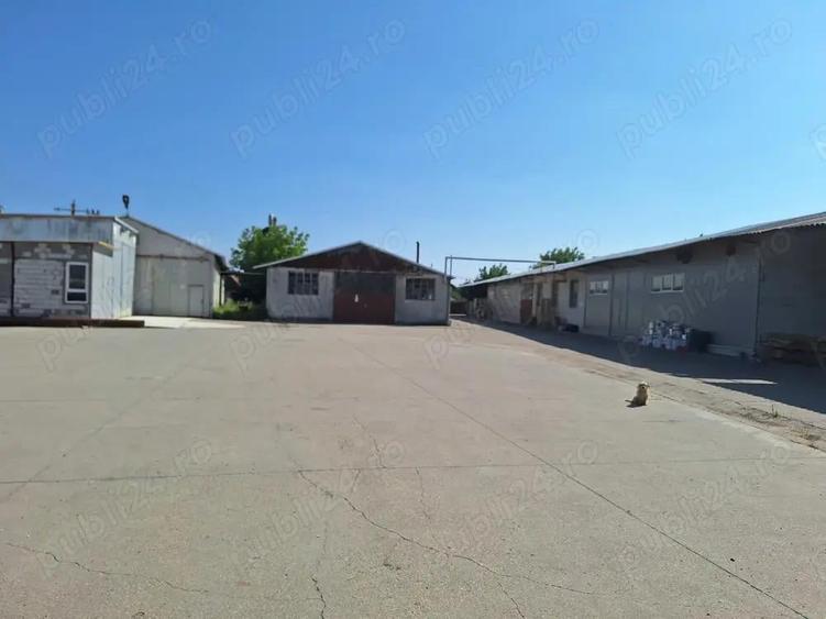 Vand Hale industriale si spatii productie - 2