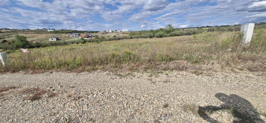 RECO Teren  intravilan in Saldabagiu de Munte - 6