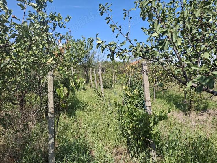 Casa de vanzare, 4 camere, zona centrala, ora? Pancota, jud. Arad - 5