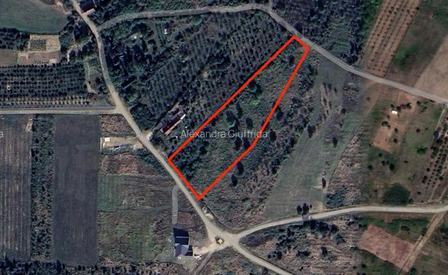 Gaminvest Teren intravilan de vânzare 4910 mp, Săldăbagiu de Munte, Bihor, V4137