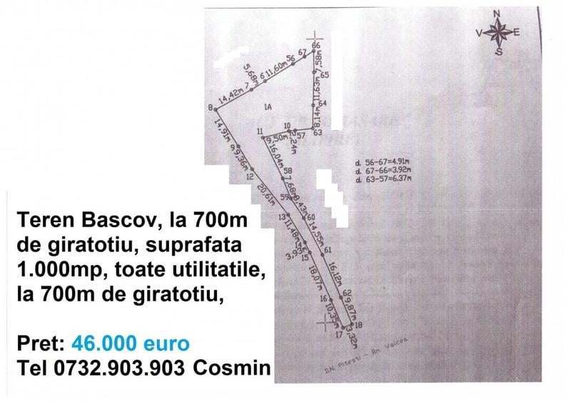 Teren Bascov, diverse suprafete - 5