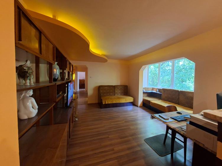 Central, apartament spatios - 3