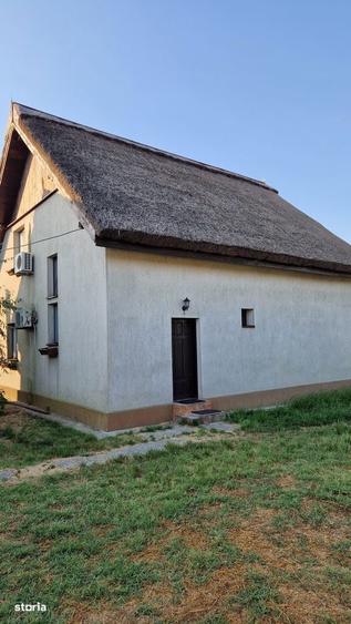 Pensiune + restaurant Delta Dunarii- Sfantu Gheorghe - 7