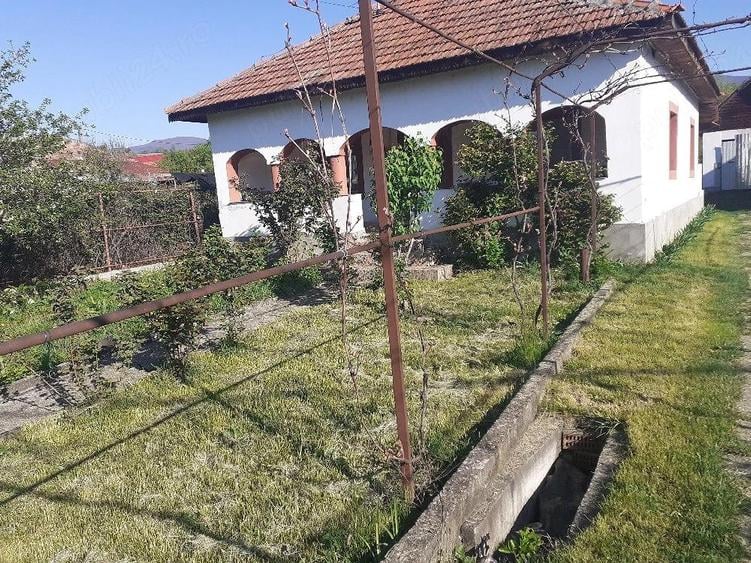 casa 4 camere plus dependinte. - 1