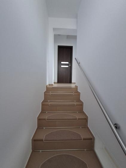 CASA LA CHEIE ! GATA DE MUTARE - 14