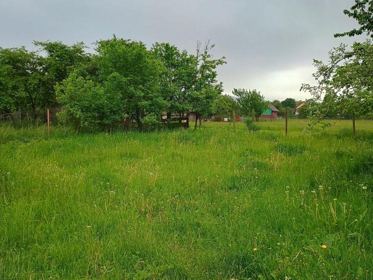 Teren de vanzare Frasin, Gura Humorului - 7