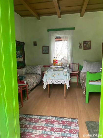 Casa de vanzare Cociuba Mare - 5