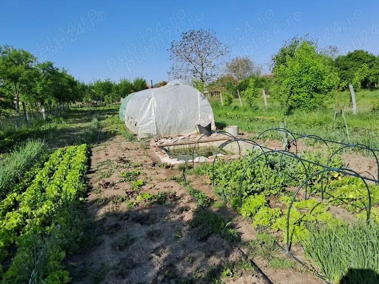 Casă cu 4 camere cu Teren 1870 Mp în Mânăstire