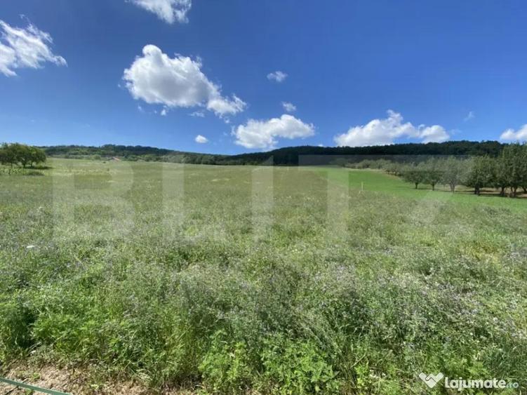 Teren intravilan in suparafat de 19213 mp, zona Valea Mitii - 3