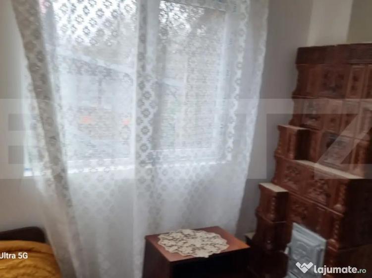 TEREN zona aer curat CASA si ANEXA - 9