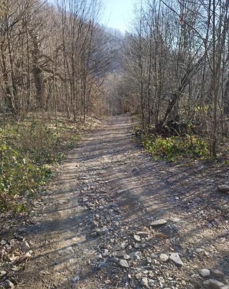 Dealul Florilor, casa 75 ari teren - 4