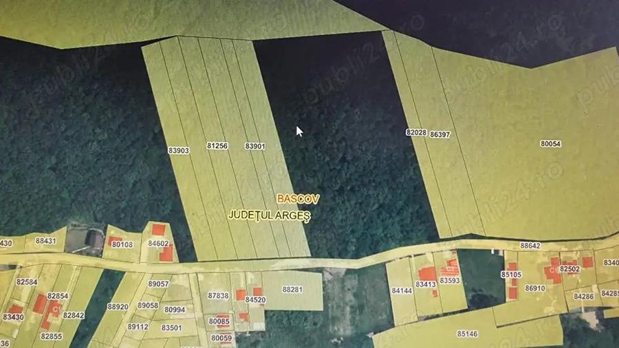 Vand 3600 mp padure, in Bascov, zona Uiasca - 1