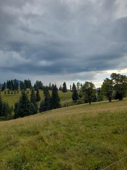 Teren intravilan 25 de arii, Piatra-Fantanele  - 5