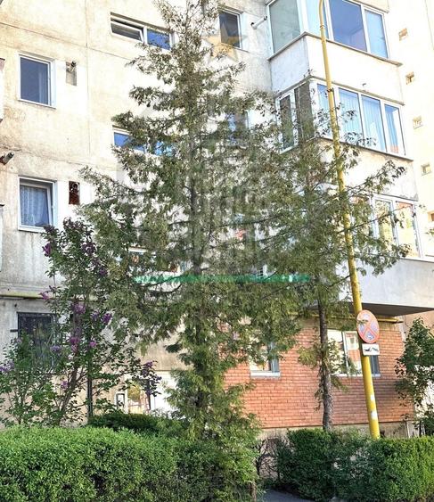 Apartament 4 camere decomandat - Calea Bucuresti, Centru Civic - 23