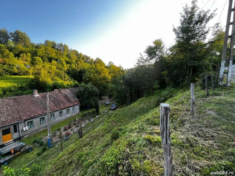 Casa de vanzare cu peste un hectar de teren - 7