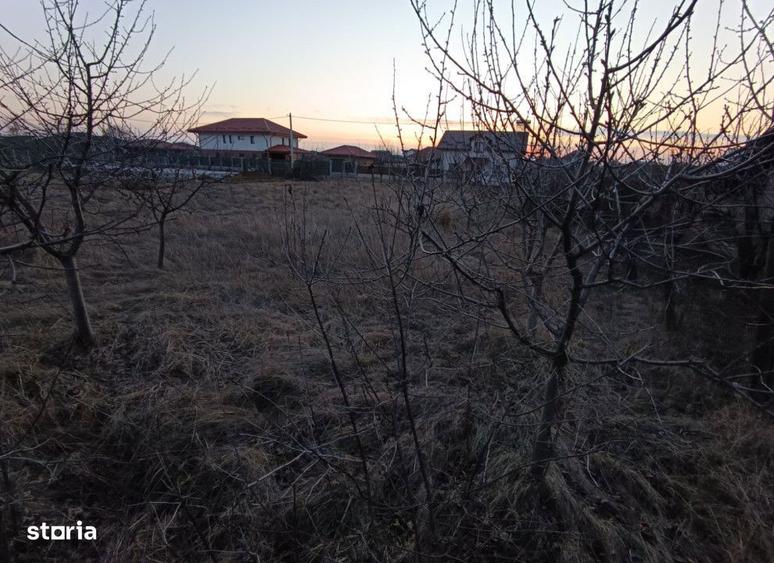 Teren intravilan Miroslava , 600 metri Cod:161312 - 3