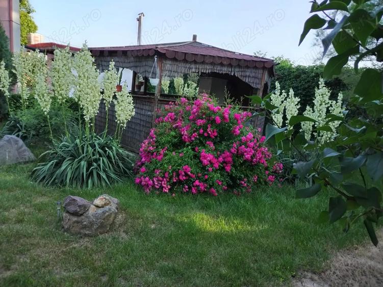 Casa in Comuna Nuci IF - 2