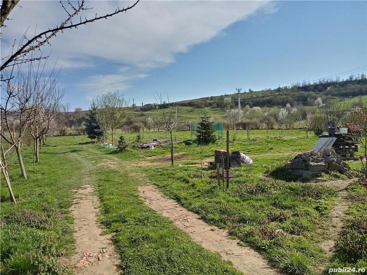 Inchiriez teren intravilan - 1