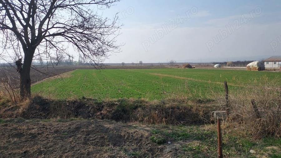 Teren de 3200 mp, în Central