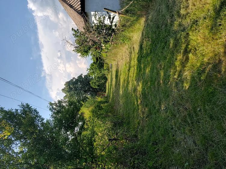 Casa batraneasca cu teren in sat Schitu Scoicesti, com Leordeni, Arge? - 4