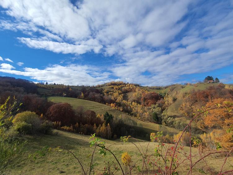 Teren Poiana Marului 4 euro/mp pretabil investitie - 3