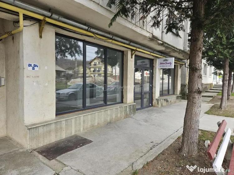 Spatiu comercial de inchiriat 110 mp Central Fieni - 1