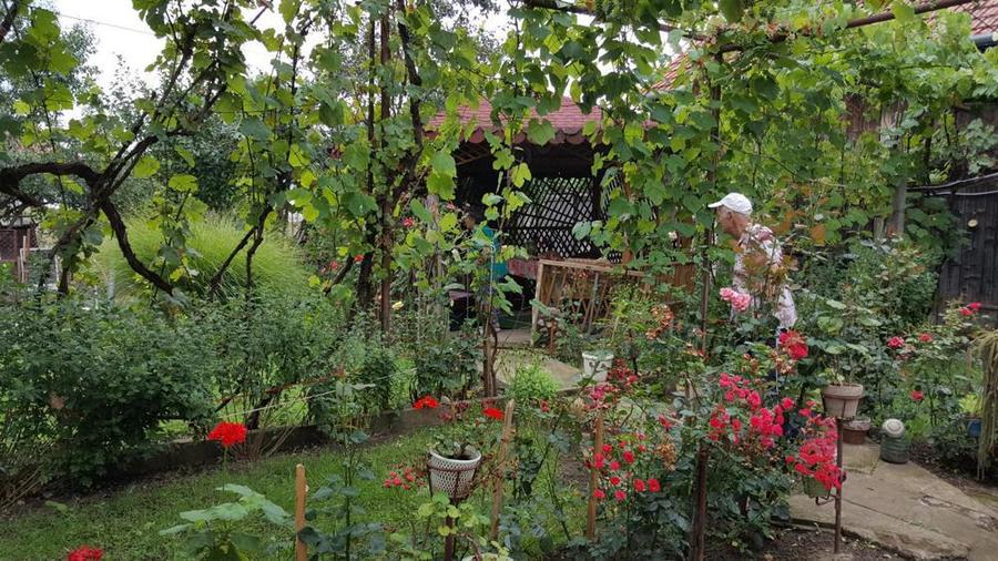 Casa mare in zona centrala Aluni? - 6