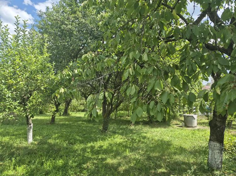 Casa cu livada Breaza - 7