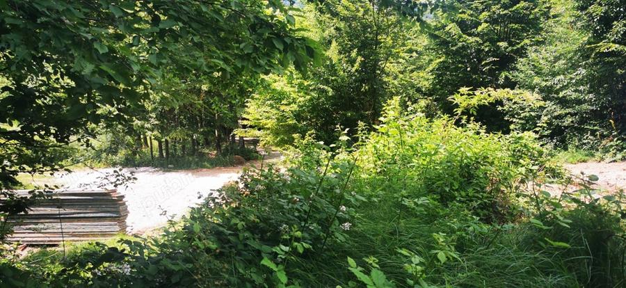 Teren Valiug 900-2400 mp acces auto utilita?i negociabil - 15