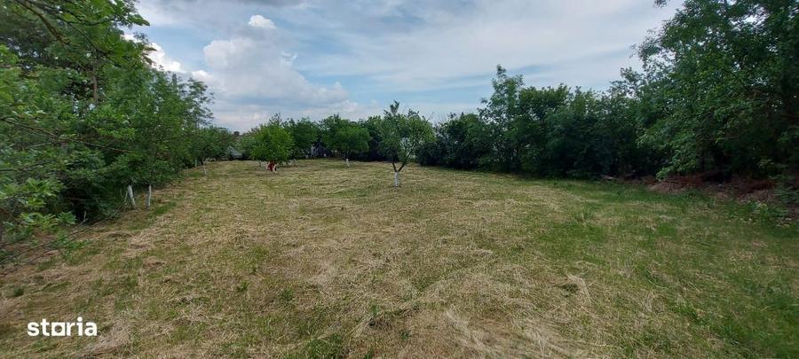 Teren intravilan de vanzare | 900 mp | Movila | Toate utilitatile - 1