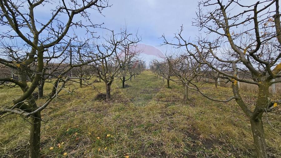 Teren extravilan 10,791mp Falticeni / Strada DJ209A, Opriseni - 14