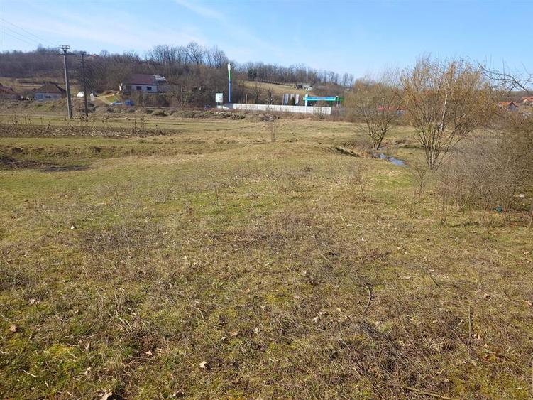 Teren intravilan la liziera padurii - 4