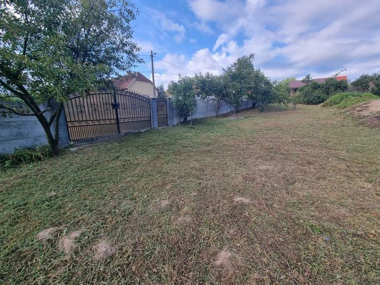 Anunt de Vanzare Teren in Viile Satu Mare Titlu: Teren Ideal pentru Constructie Strada Libertatii nr. 4 - 2