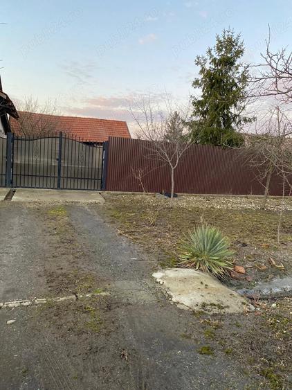 Vand sau schimb, 1439 mp, sat Bodo - 5